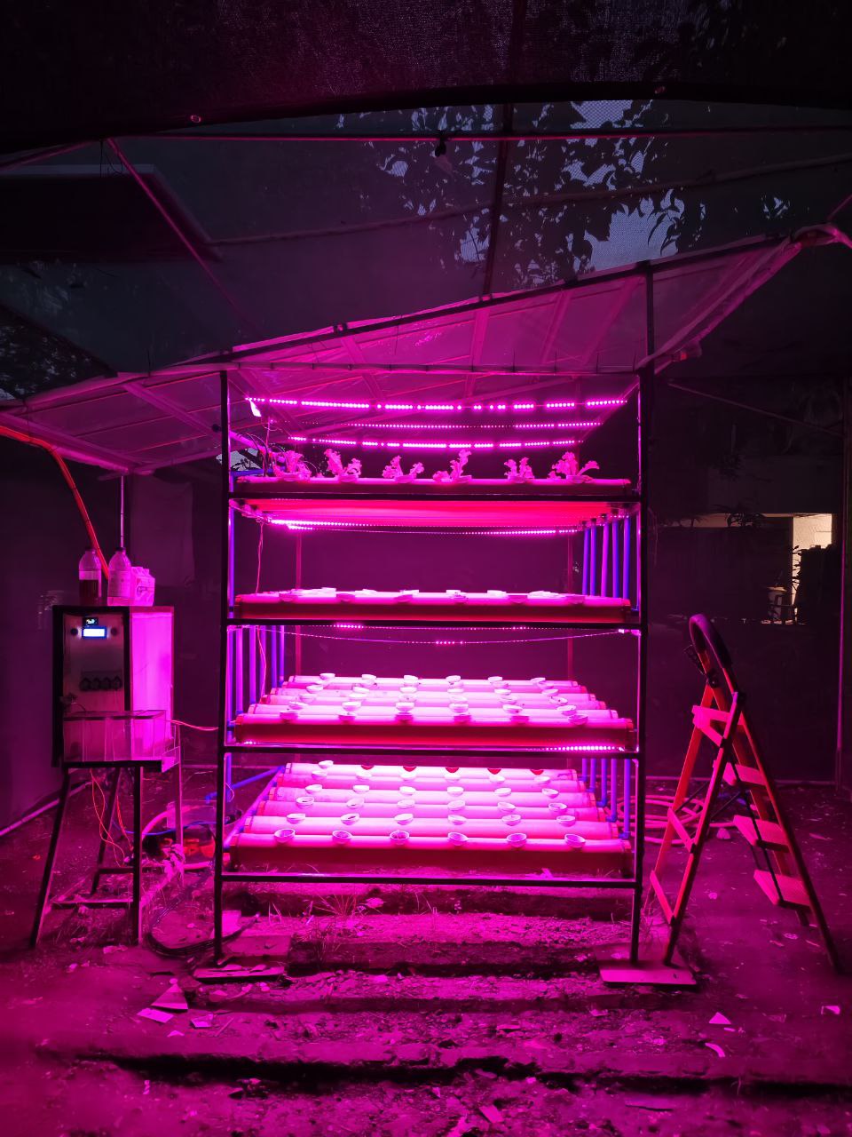 Project photo 18