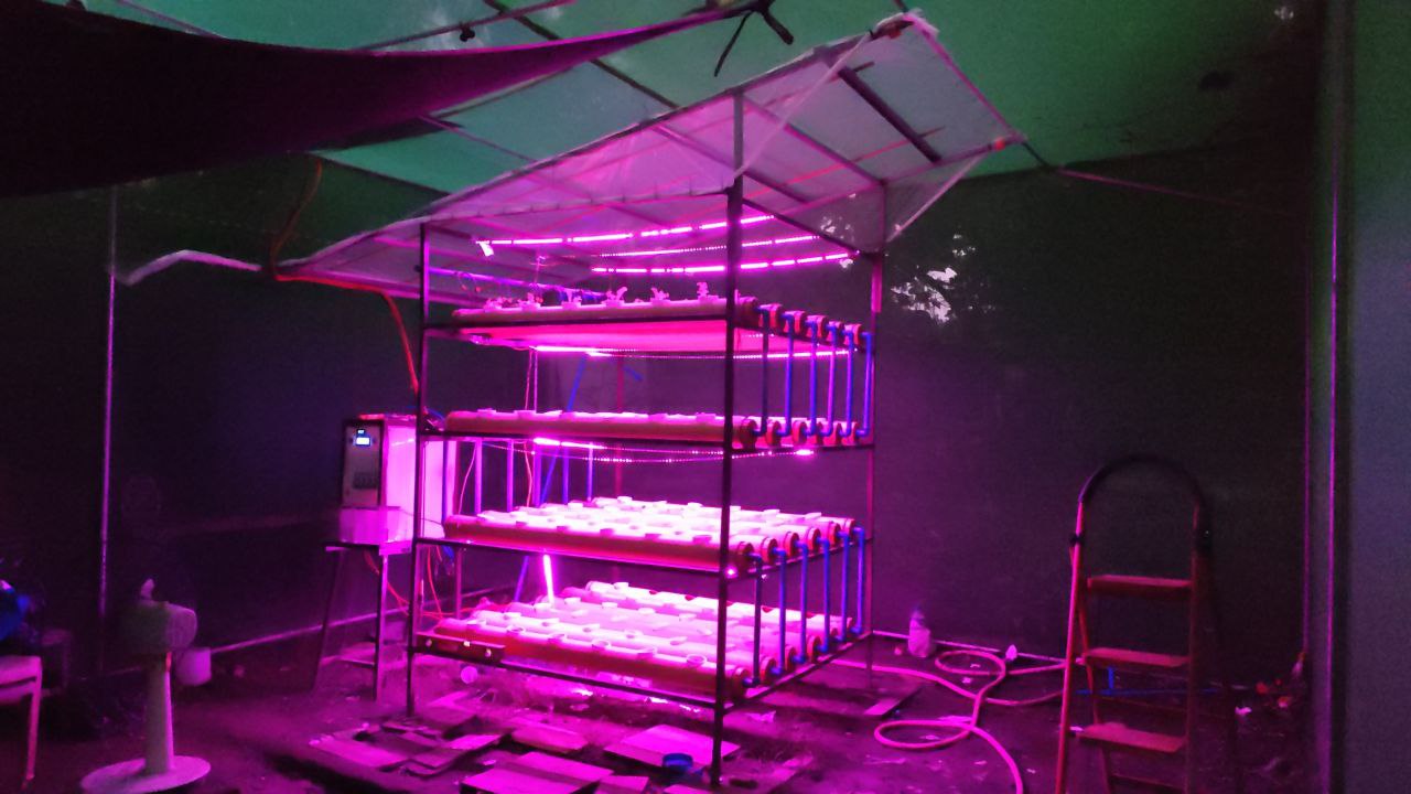 Project photo 4